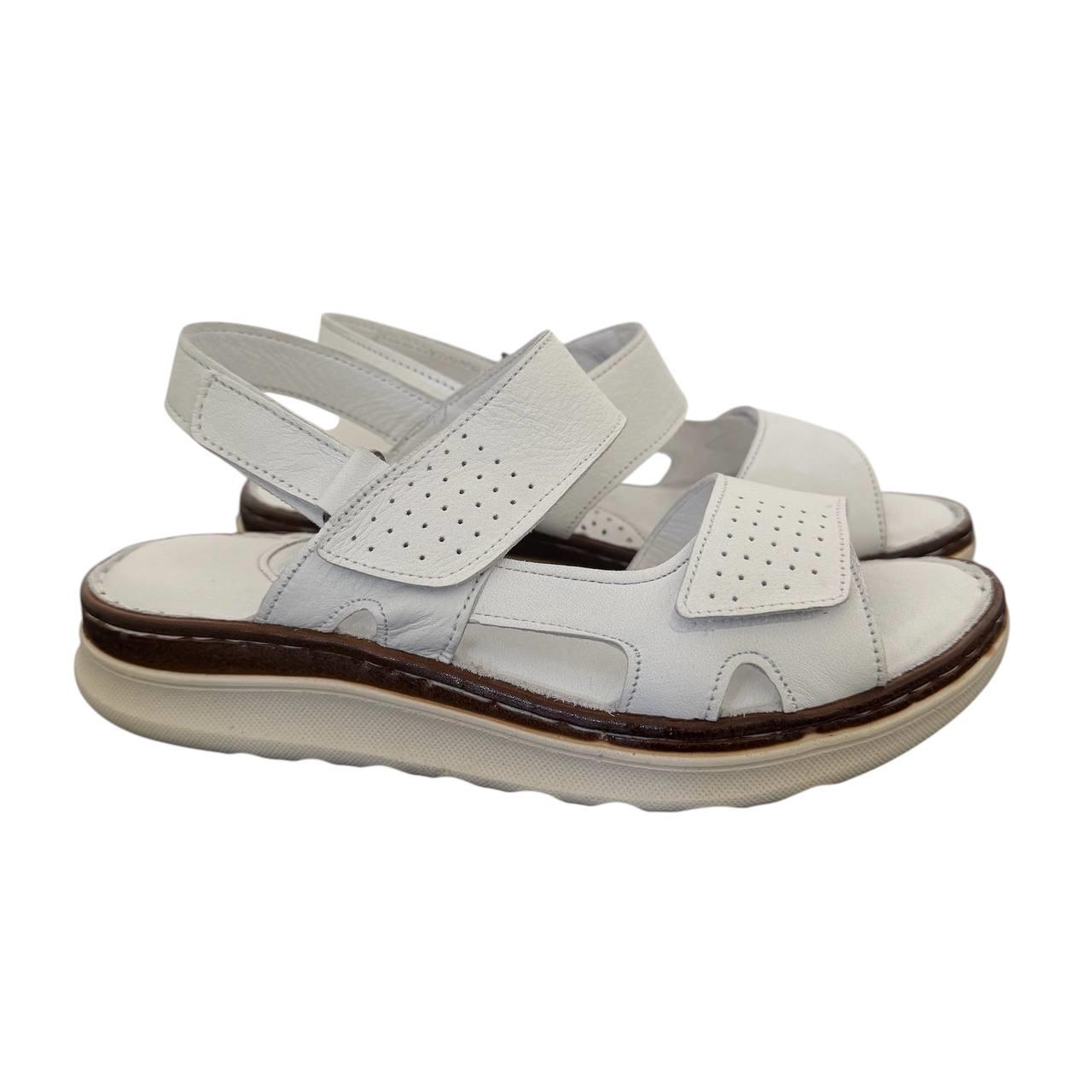 SandF Miss 1724 Alb SandF Miss 1724 Alb
