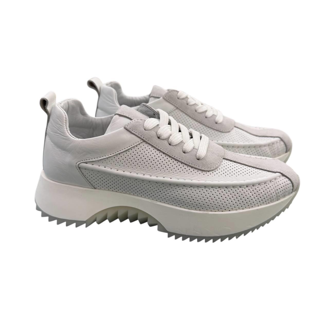 GhF Miss 1704 LinNub AlbGaur GhF Miss 1704 LinNub AlbGaur