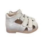 SandOrtho 3lipinc AlbPerl