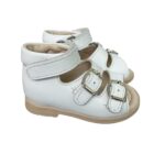 SandOrtho 3lipdes Albcatar SandOrtho 3lipdes Albcatar